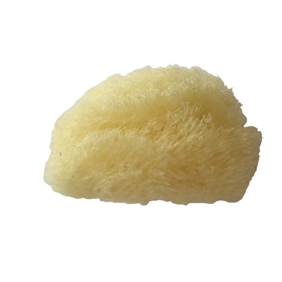 Baudelaire Silk Sea Sponge, New, Small - Picture 8 of 9